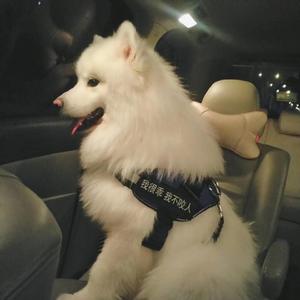 宋雨琦跳南半球视频原版播放
